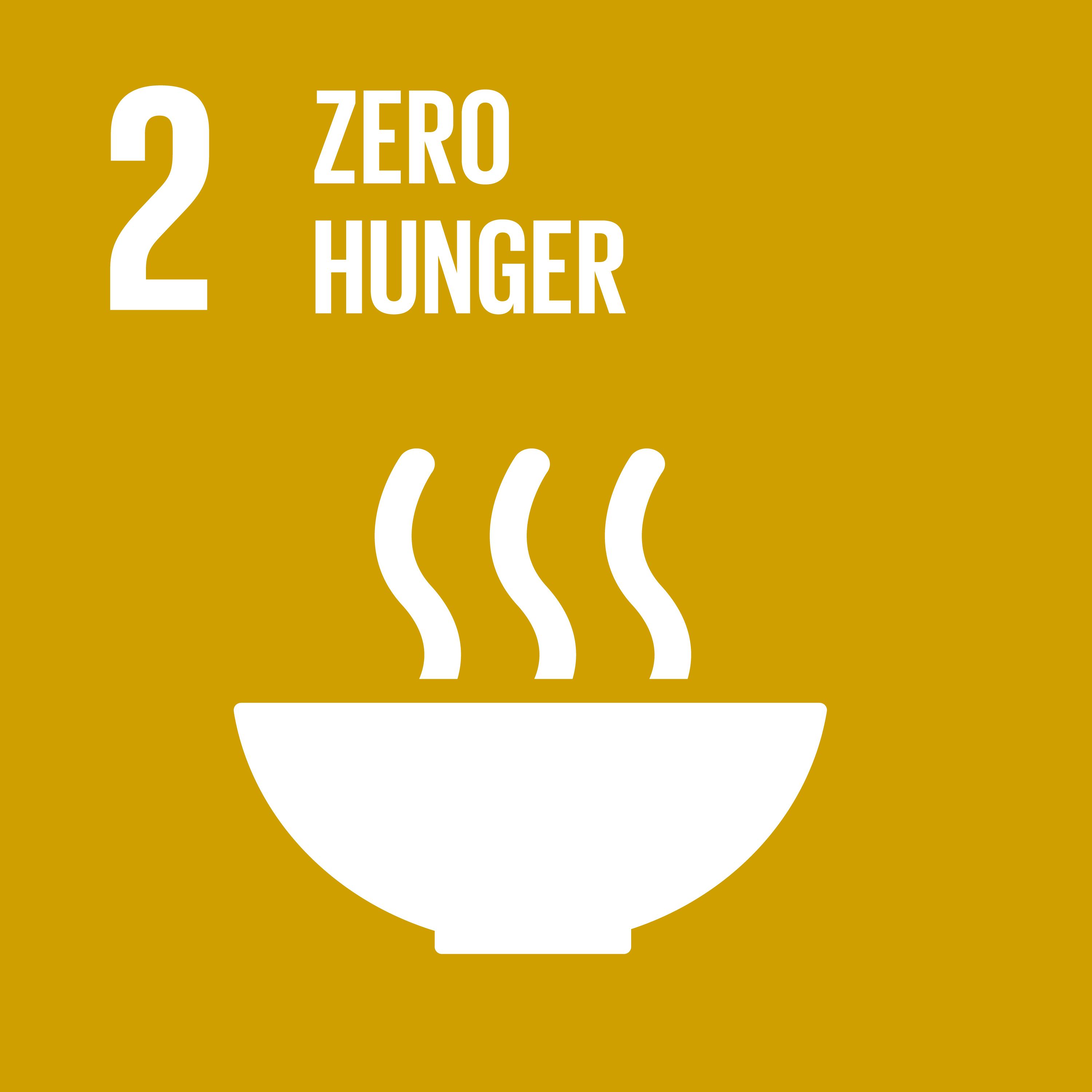 SDG2