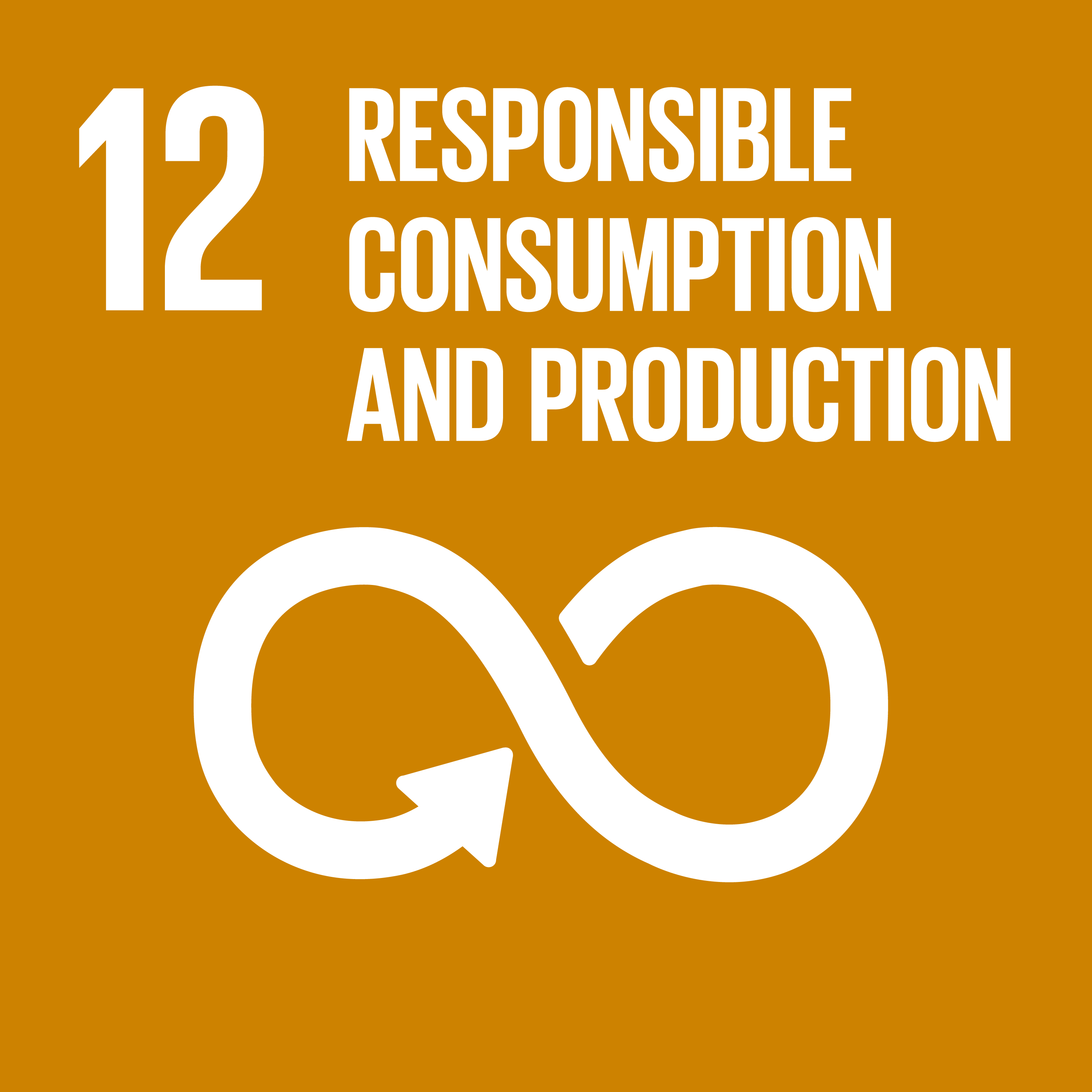 SDG12