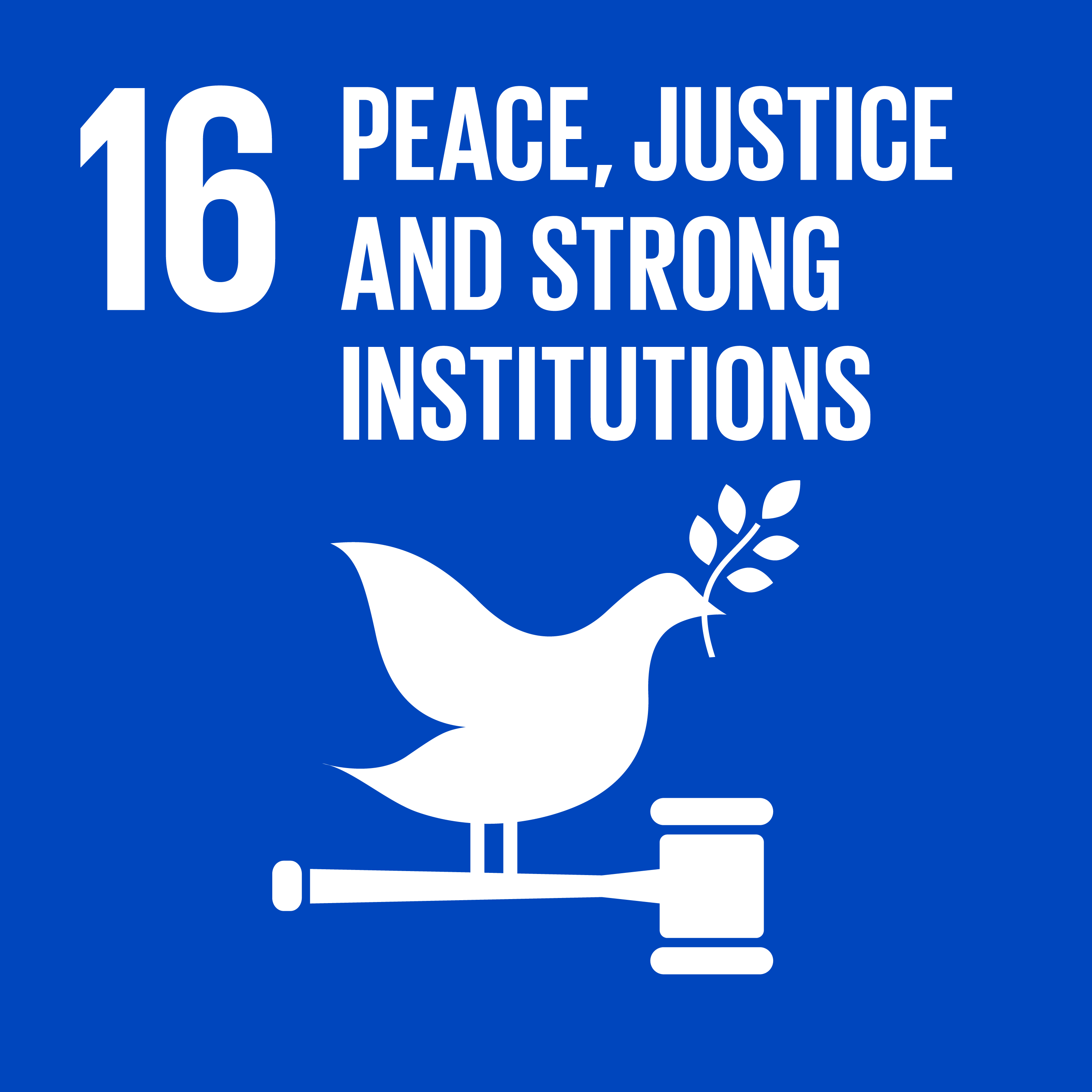 peace justice and strong institutions