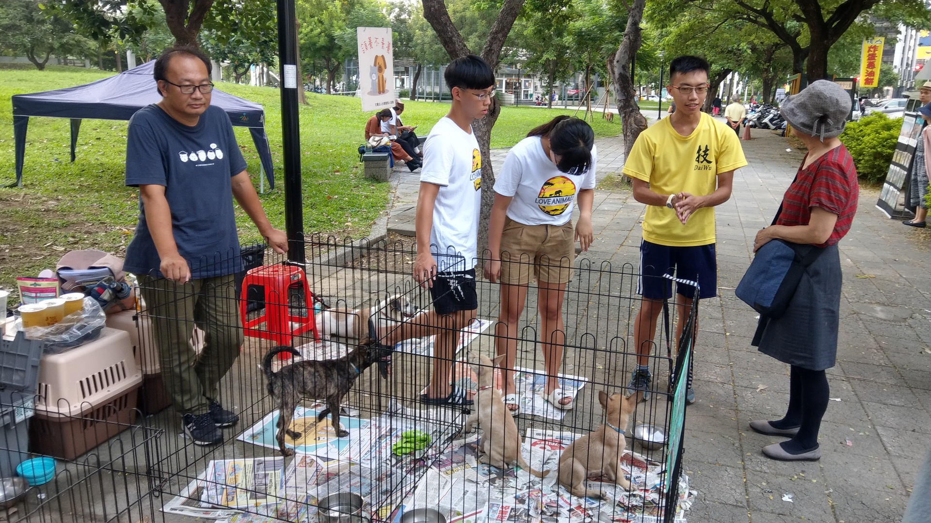 校方特別建置專網：http://straydog.nuk.edu.tw/ViewTemplate13/Index/4，詳實記錄包括「大不點」、「旺仔」等犬隻特徵、年齡、習性、活動範圍、就醫、疫苗接種等內容