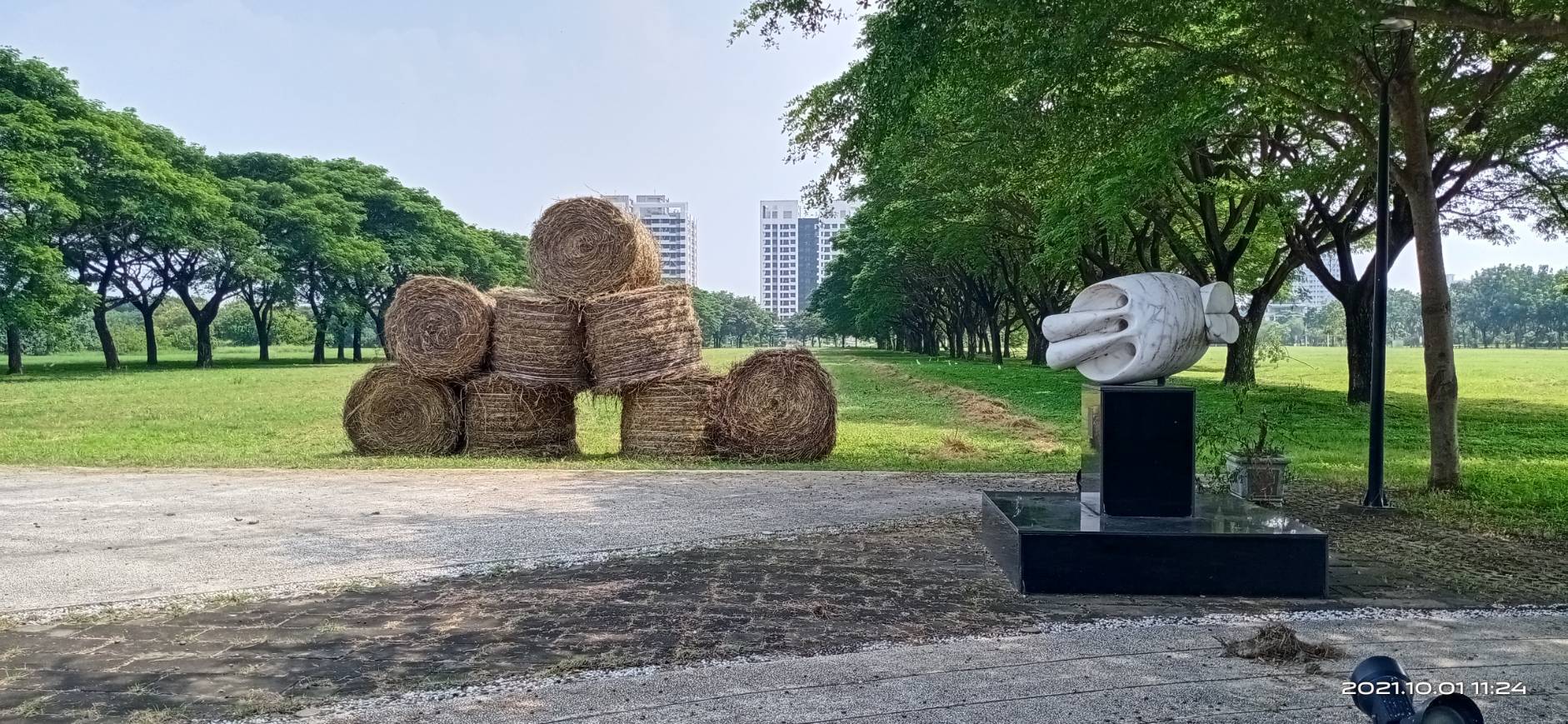 療癒草捲