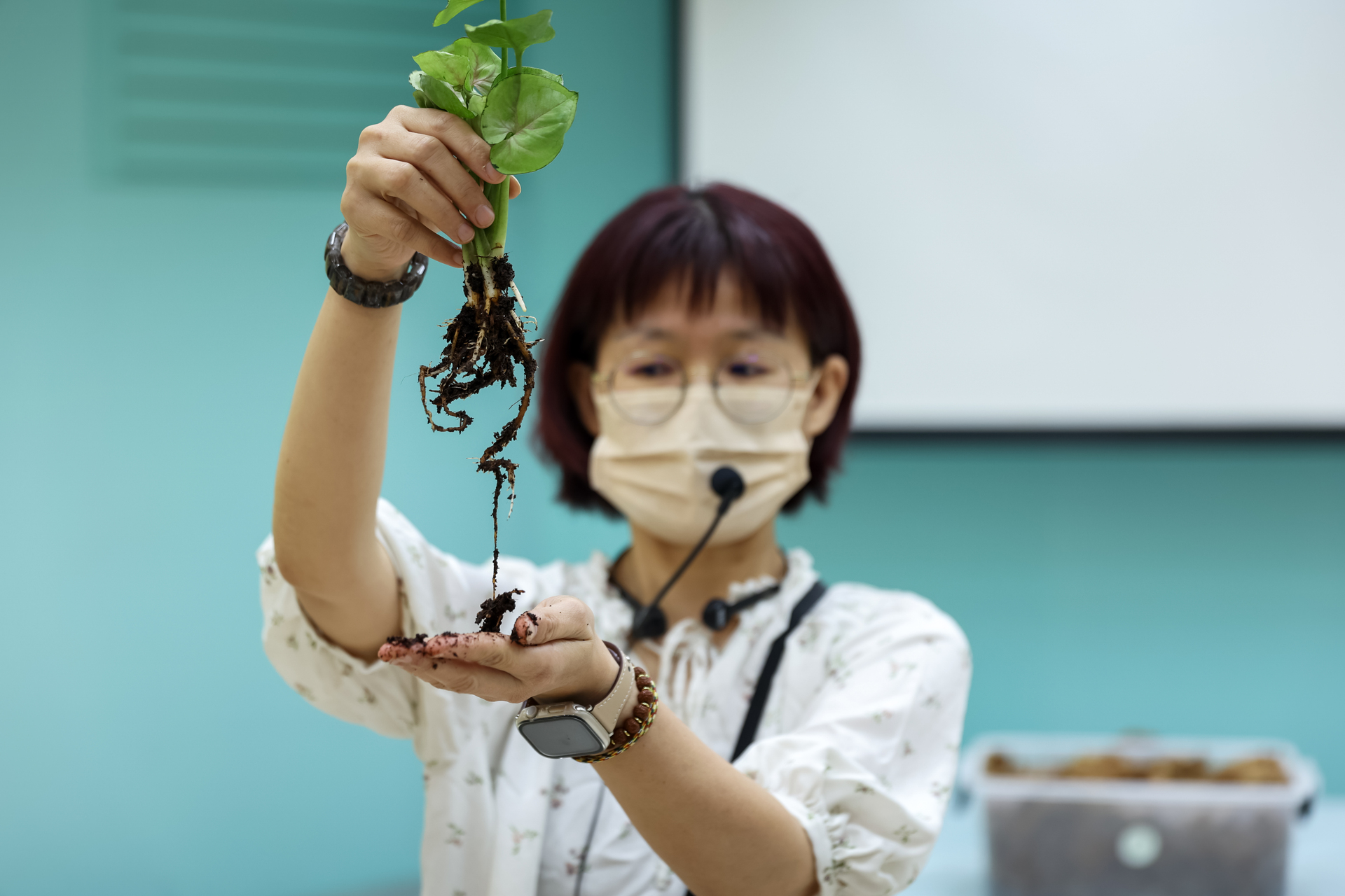 植栽手作工作坊005