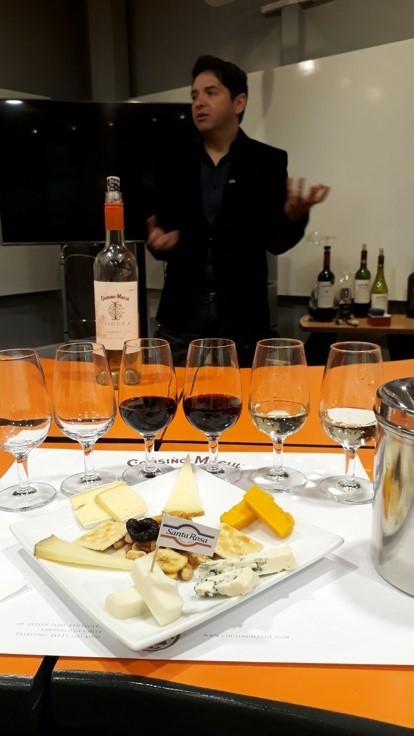 Tasting Wine in Chile!! Mobility Course in Chile Part2: Wine Industry and Strategic ManagementImage