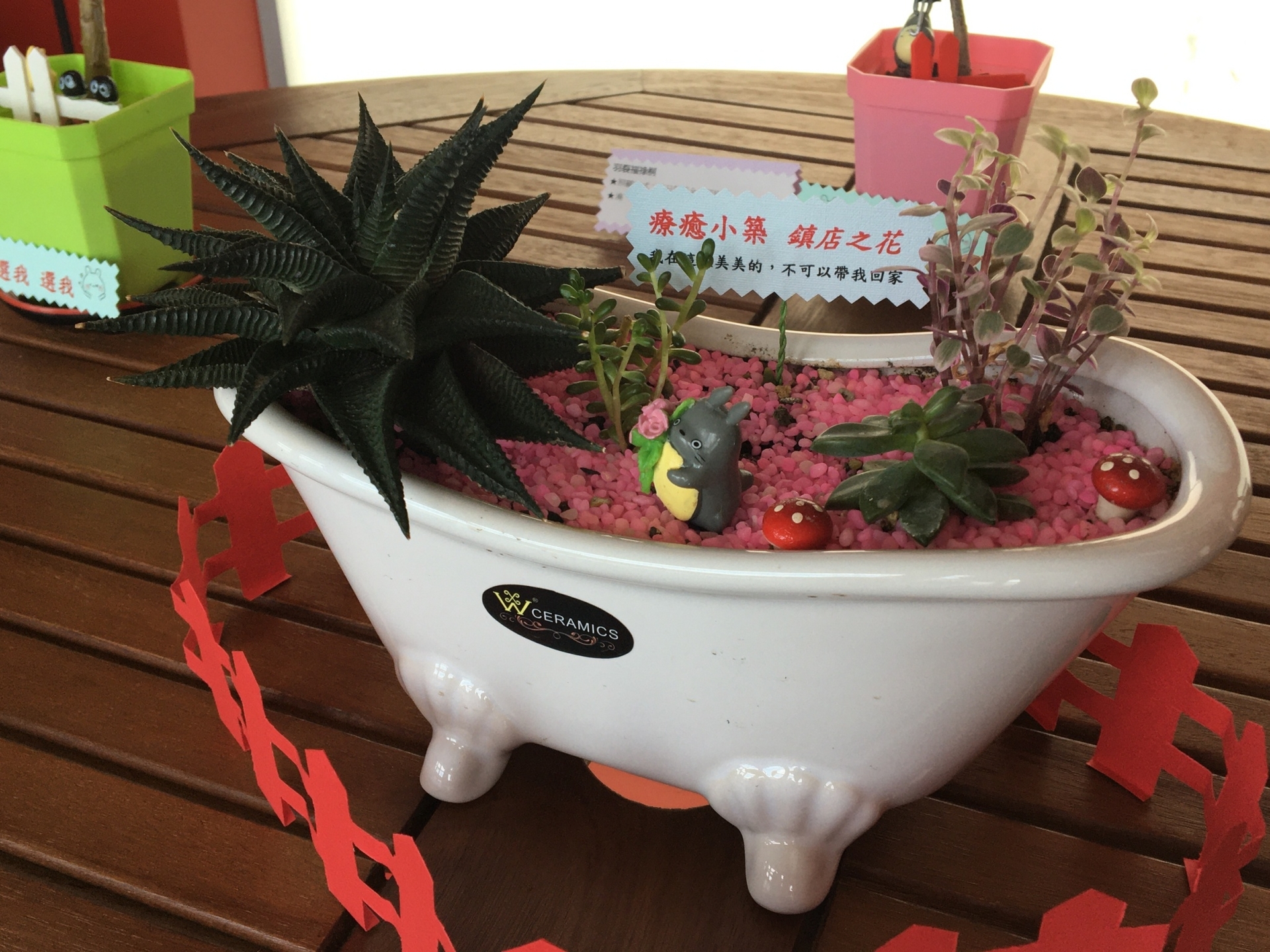 可愛的鎮店之花