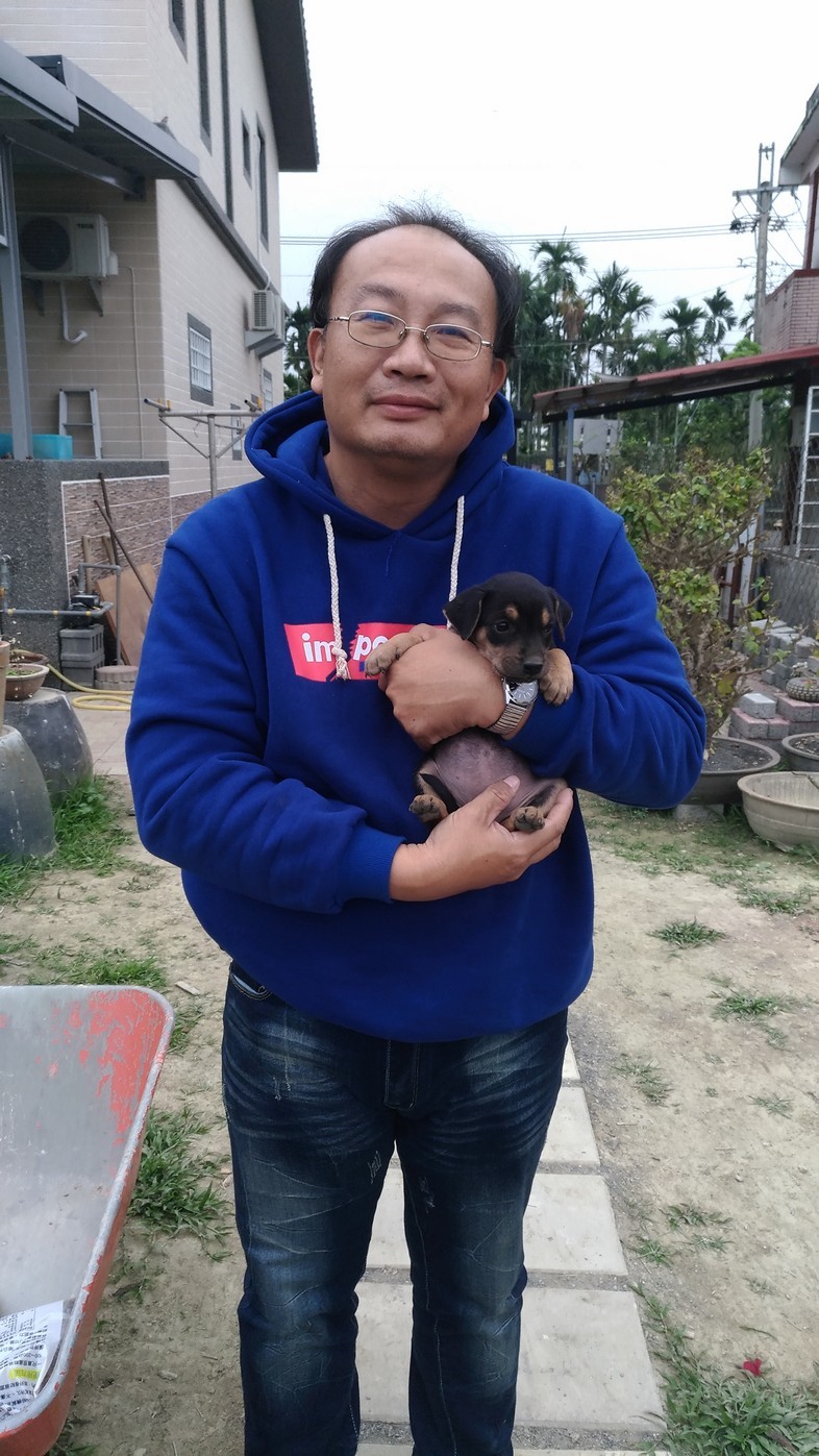 圖片說明
