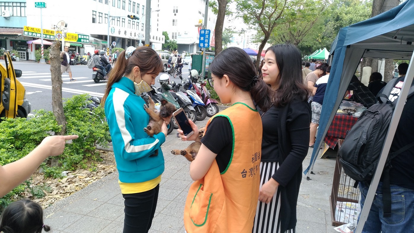 圖片說明