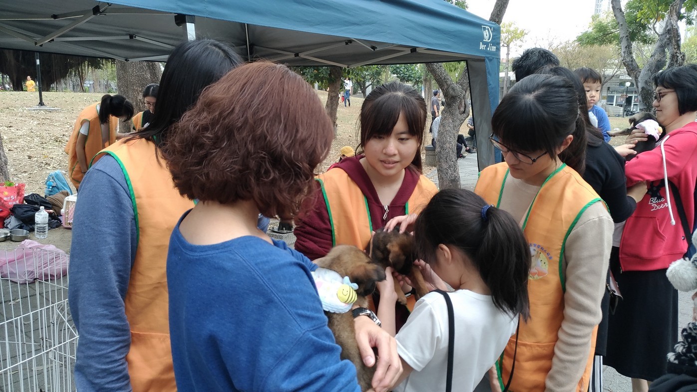 圖片說明
