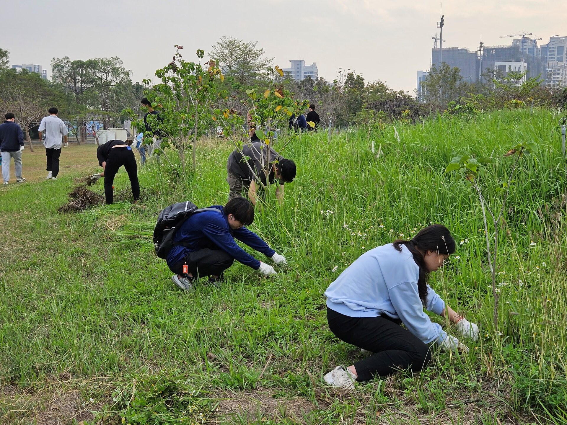 服務學習學生參與校園植樹區苗木除草、外來入侵種清除及沃土搬運等校園服務實作課程002