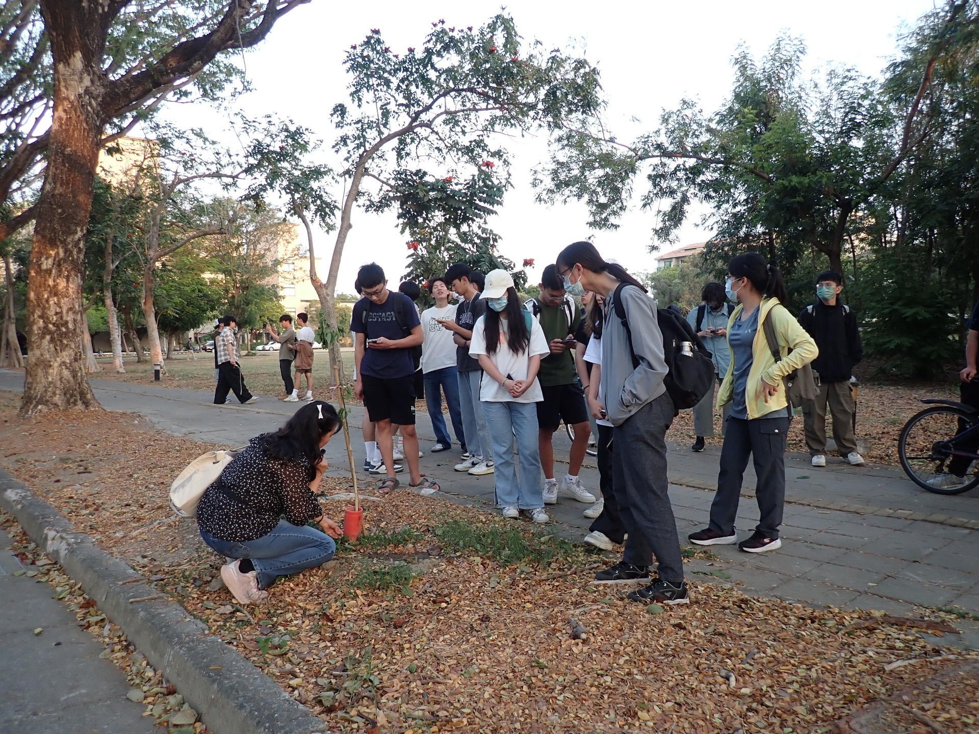 服務學習學生參與校園植樹區苗木除草、外來入侵種清除及沃土搬運等校園服務實作課程003