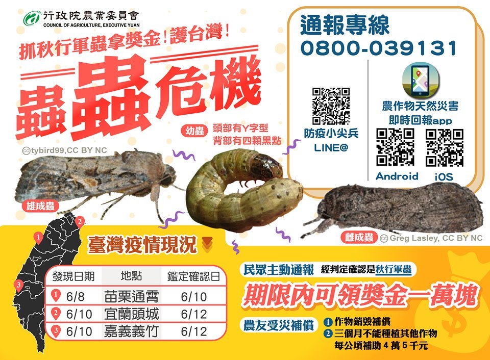 蟲蟲危機，通報專線0800039131