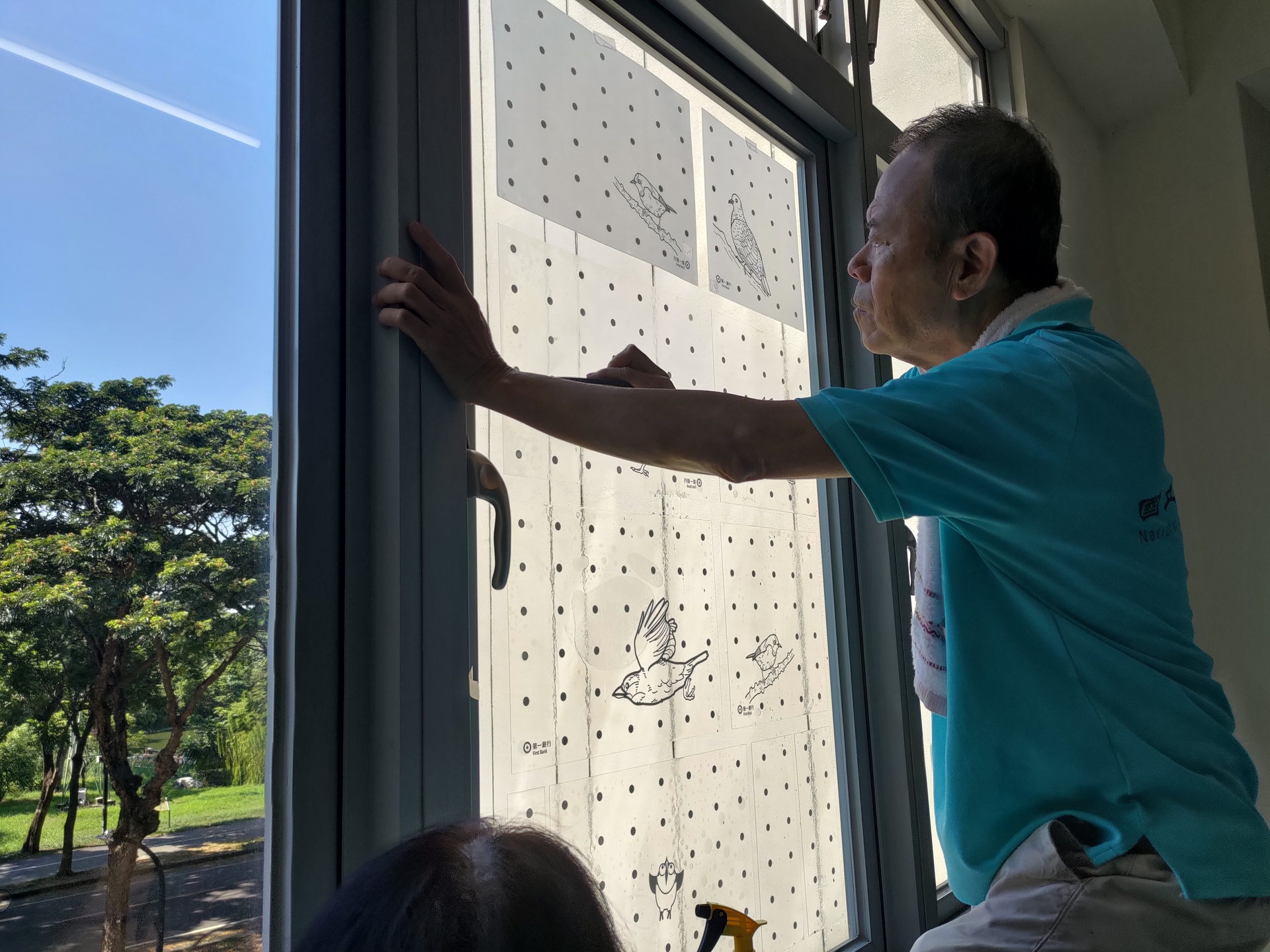 「生態棲地守護－防鳥撞友善窗貼張貼活動」004