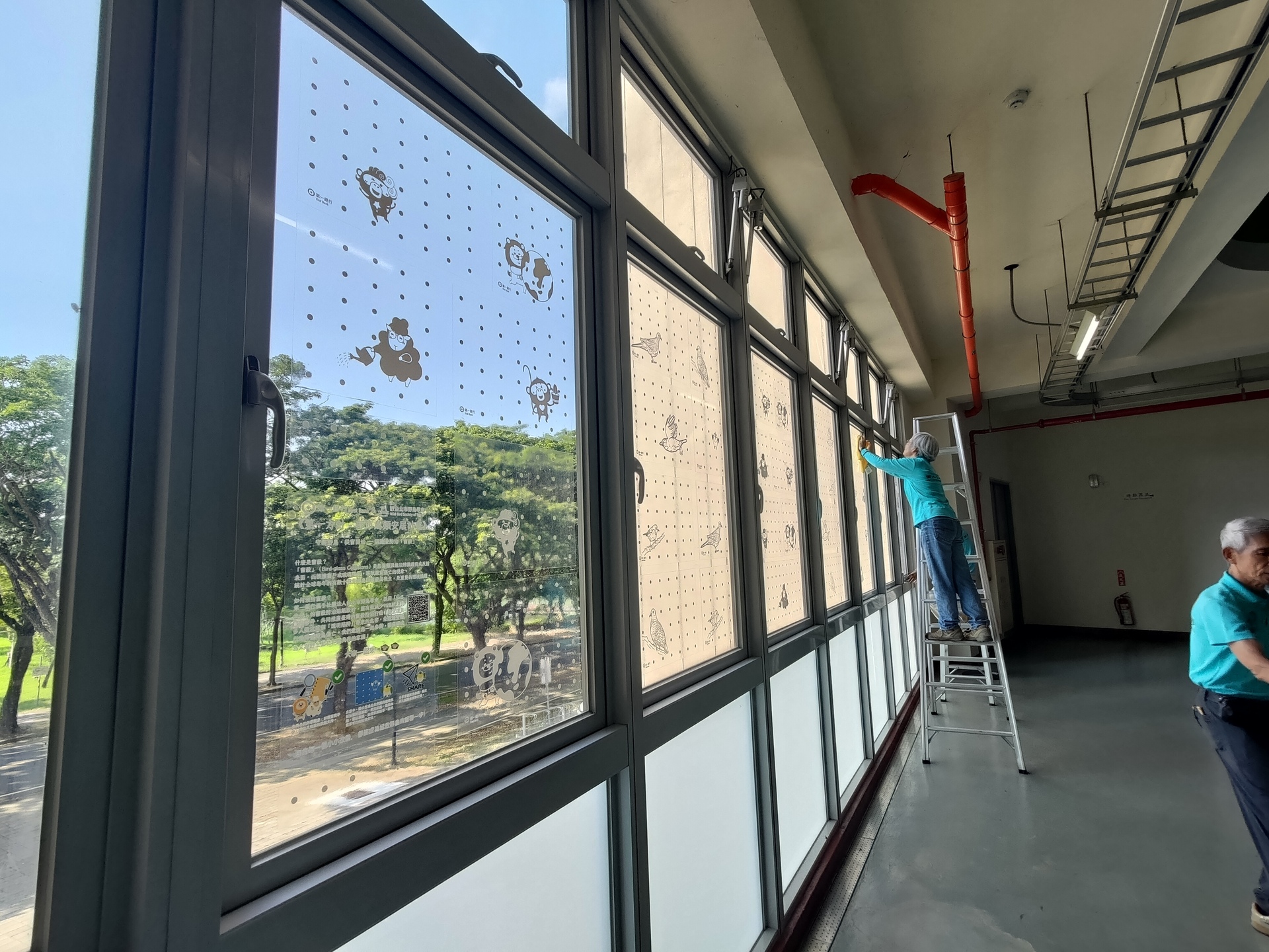 「生態棲地守護－防鳥撞友善窗貼張貼活動」006