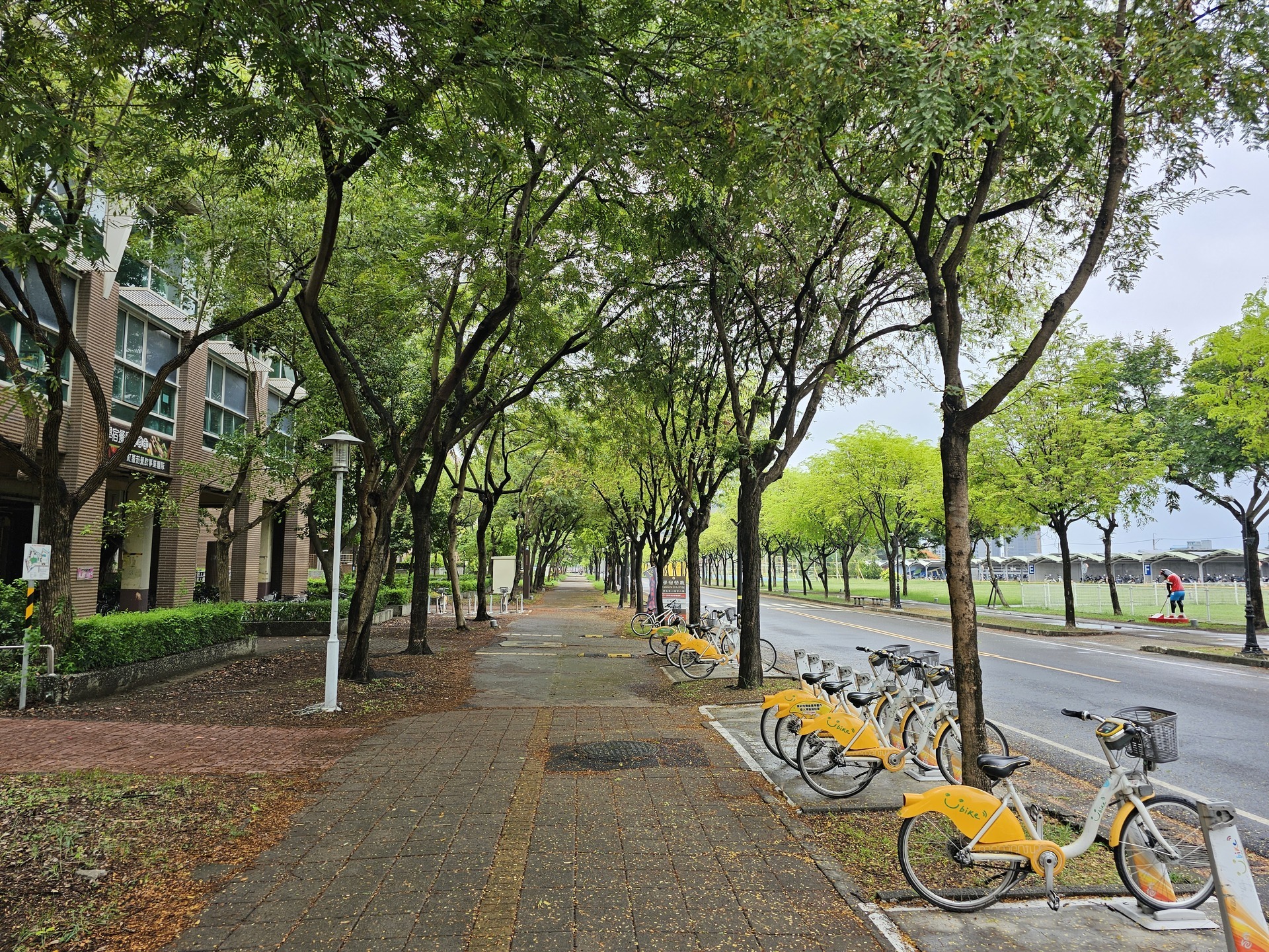 The "UI GreenMetric World University Rankings": NUK Advances to 285th Place –Green Corridors and YouBike