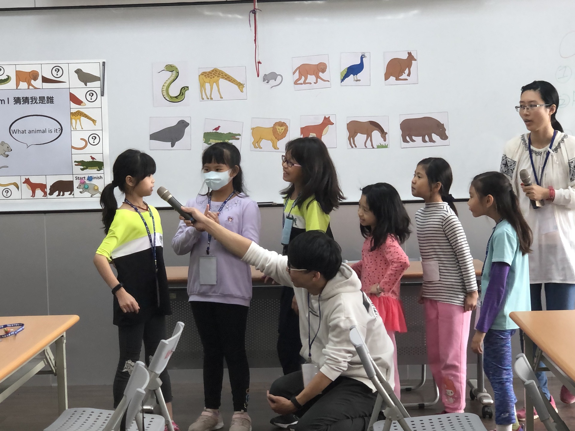 動物接龍圖片