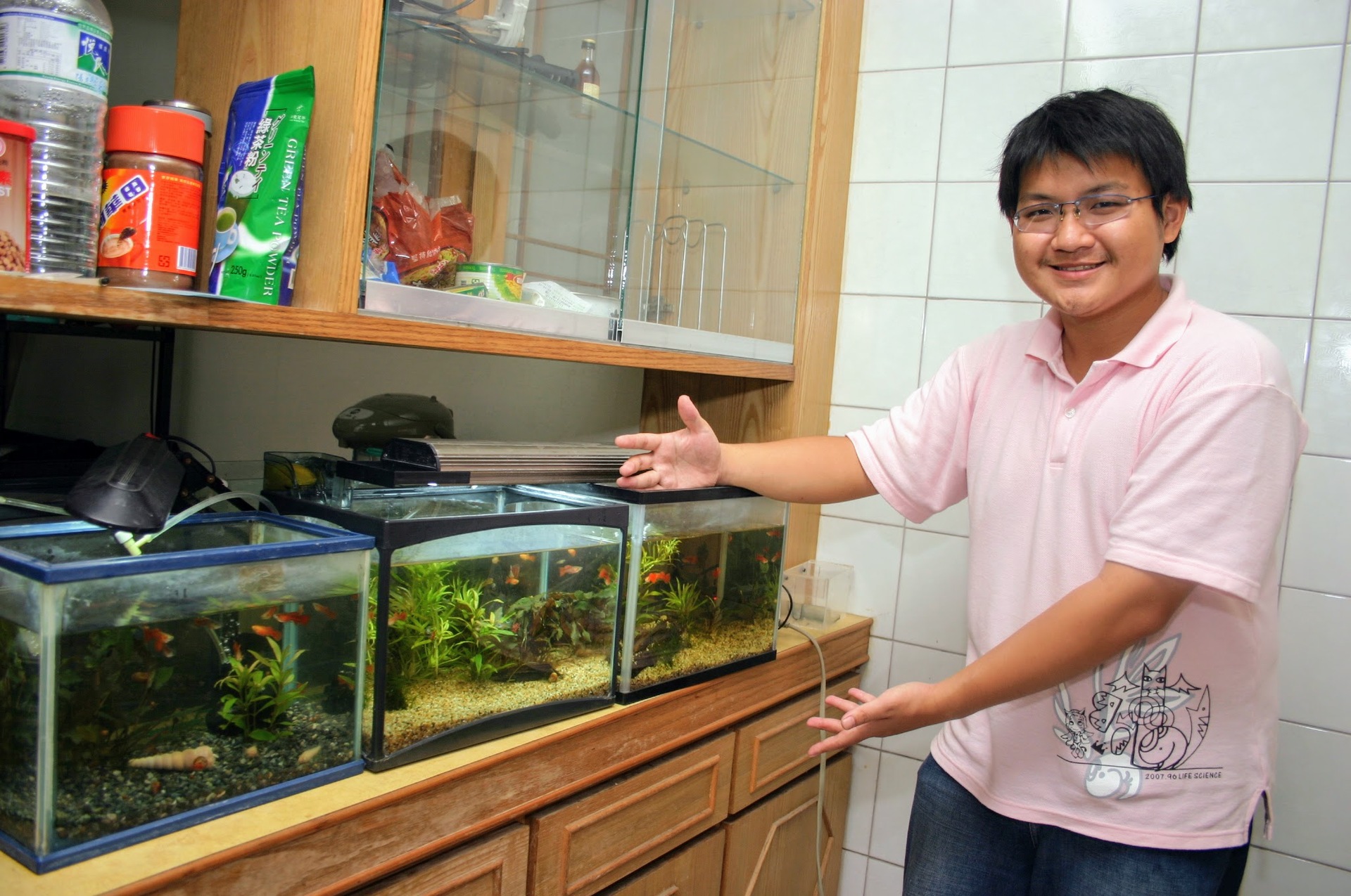 大學時期的陳玄,展現育種才華,繁殖新品種孔雀魚02。【高大資料照片,攝於2005年04月13日】圖片