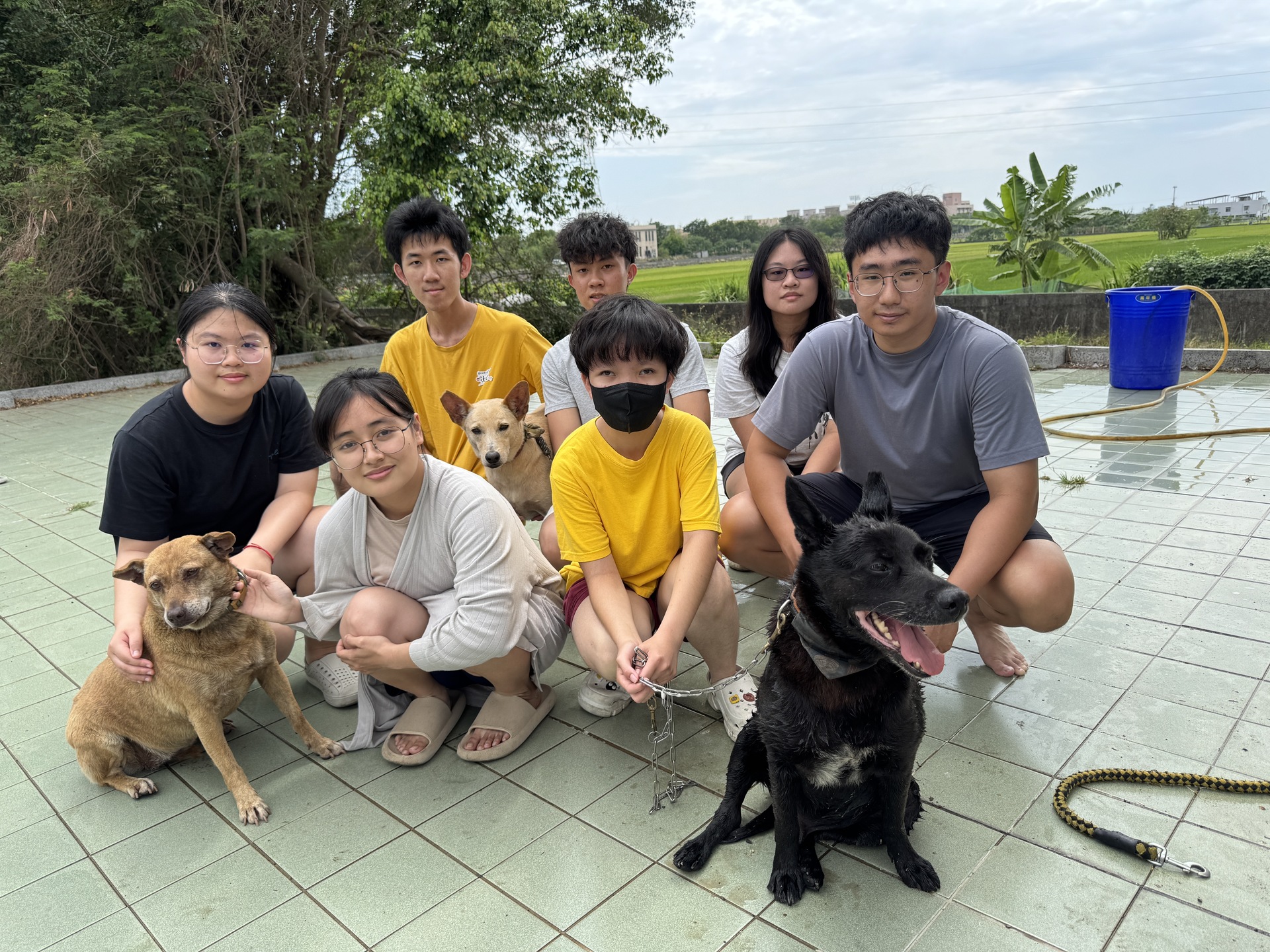 寵研社「洗狗大會」為校內流浪狗清潔，以實際行動傳達尊重生命、愛護動物理念002