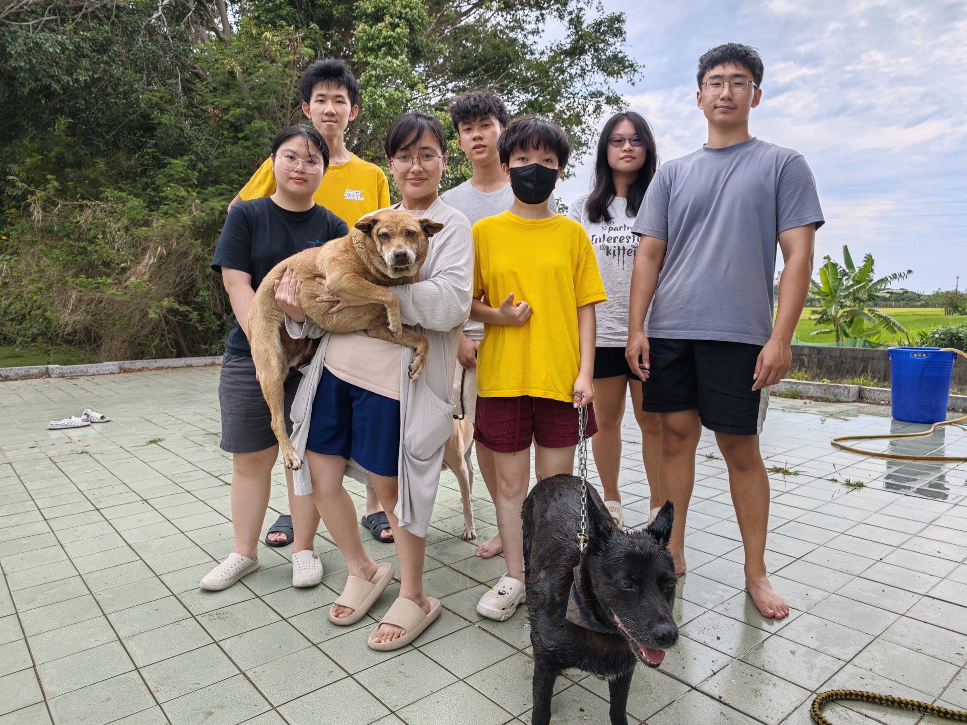 寵研社「洗狗大會」為校內流浪狗清潔，以實際行動傳達尊重生命、愛護動物理念005