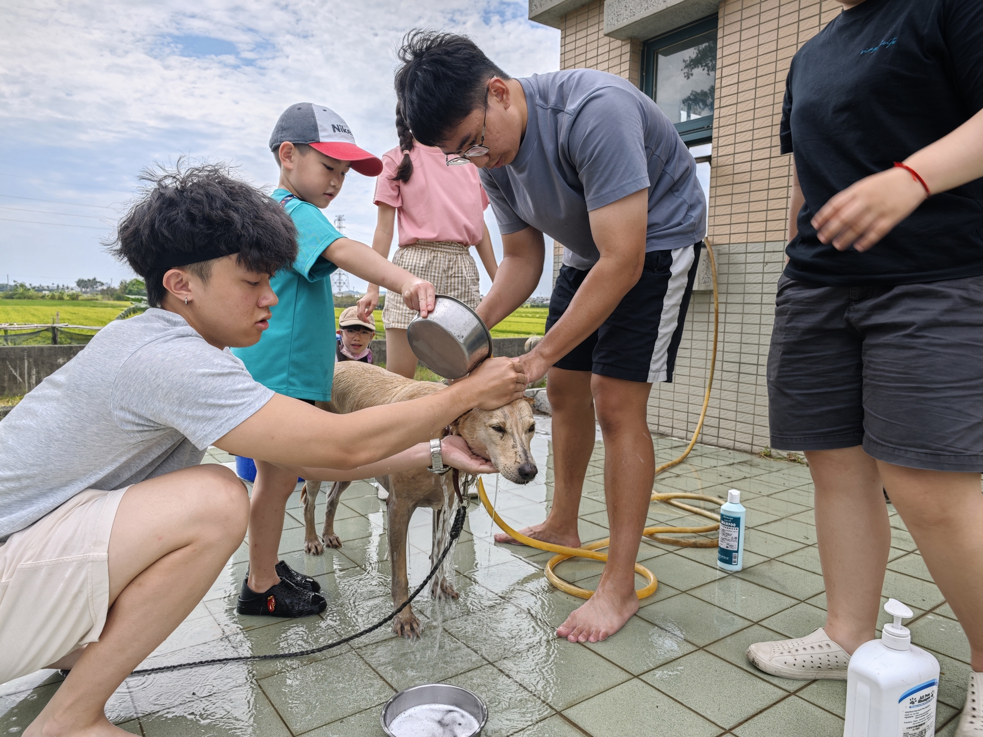 寵研社「洗狗大會」為校內流浪狗清潔，以實際行動傳達尊重生命、愛護動物理念007
