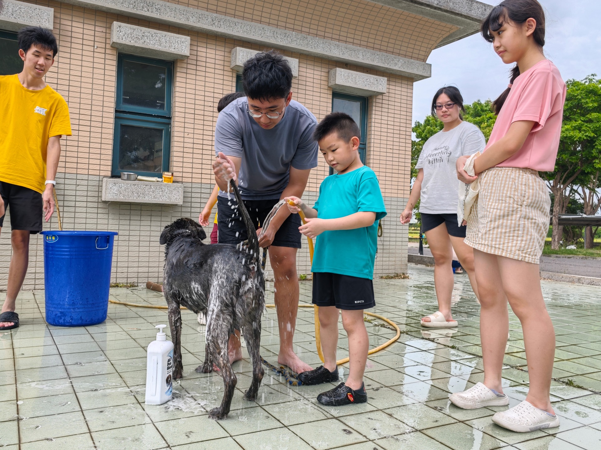 寵研社「洗狗大會」為校內流浪狗清潔，以實際行動傳達尊重生命、愛護動物理念010
