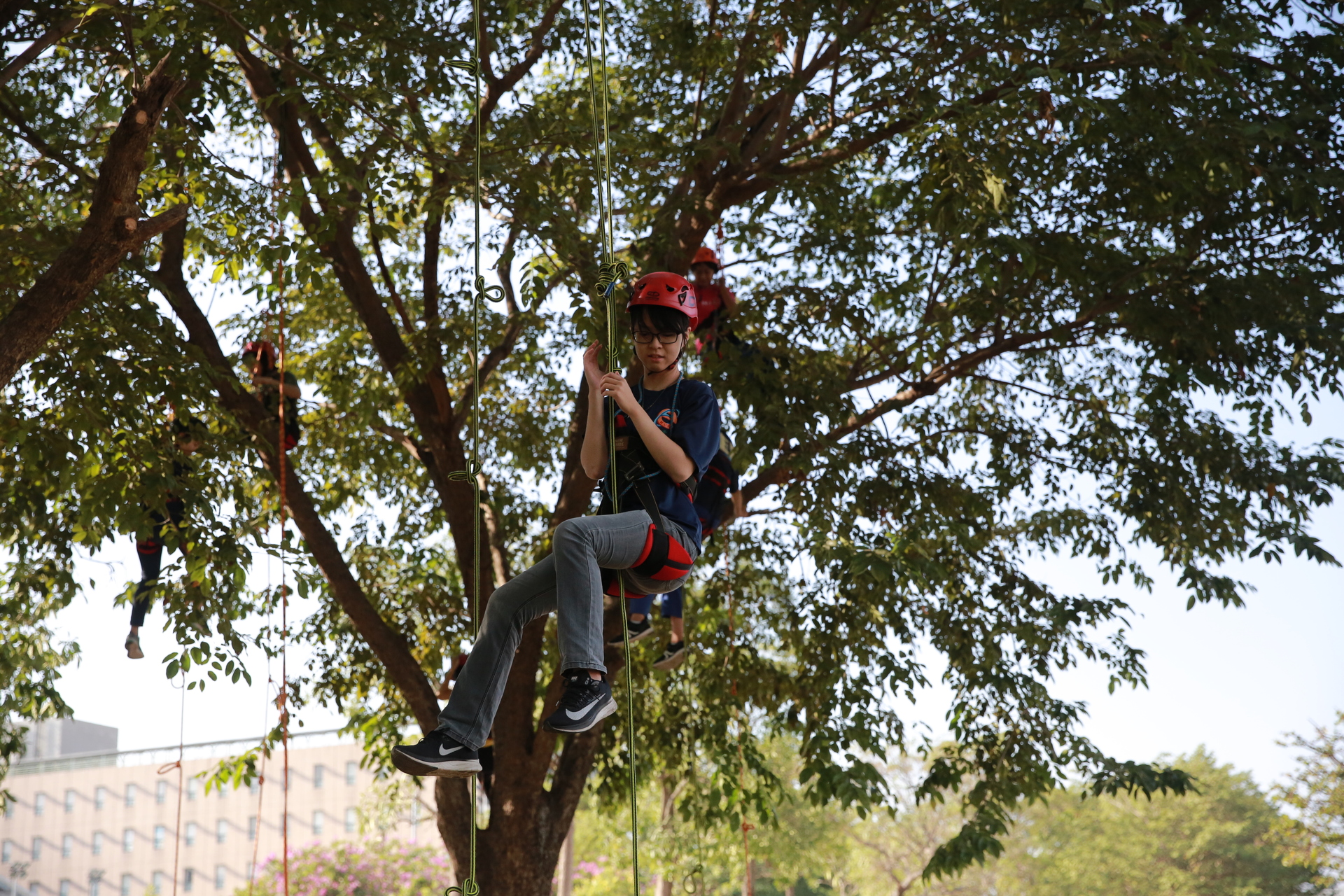電機工程學系葉璦華熱愛戶外運動，沒錯過攀樹活動